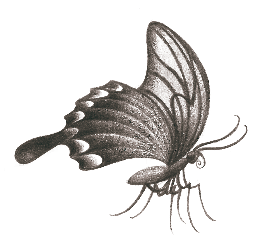 Betty Splendens | Ilustración & Artes Visuales